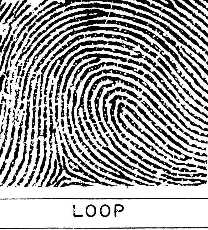 fingerprints-forensic-science-investigation-unit